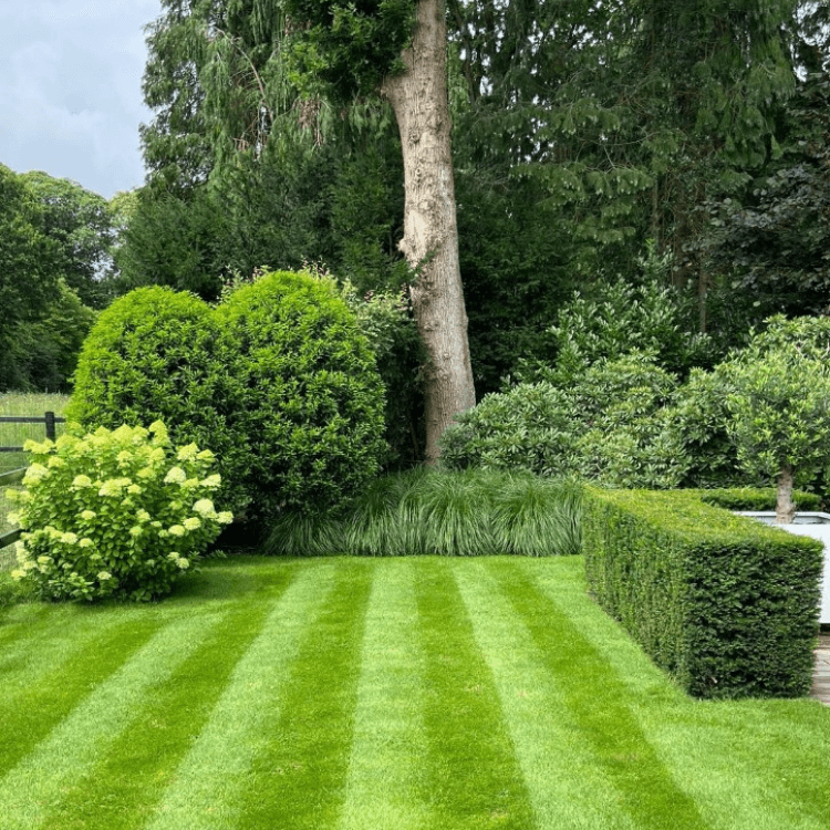 Tuinonderhoud Huizen Gooi