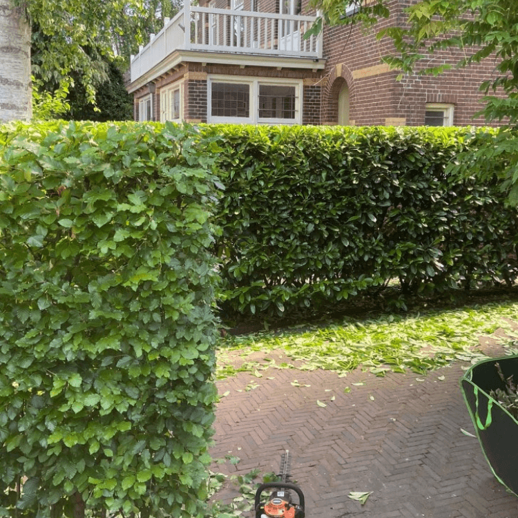 Tuinonderhoud hovenier