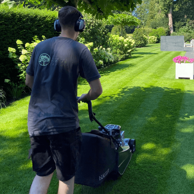 Tuinonderhoud hoveniersbedrijf Huizen Gooi